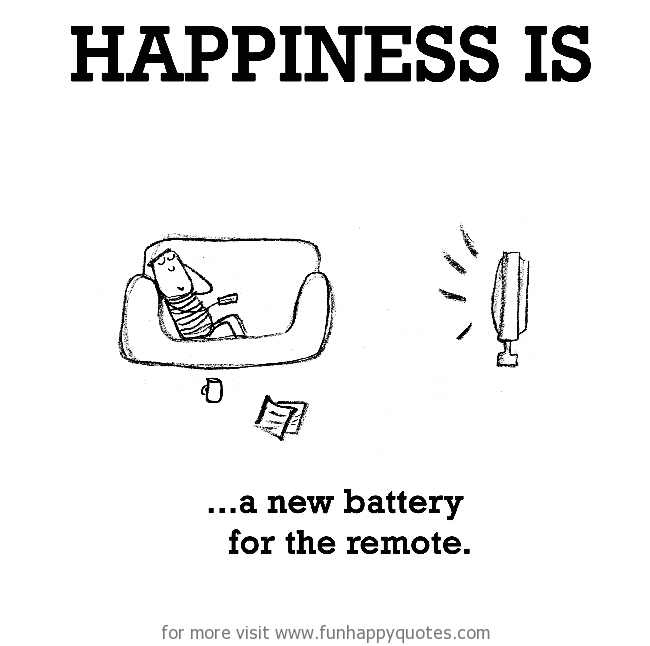 Happiness is, a new battery for the remote.